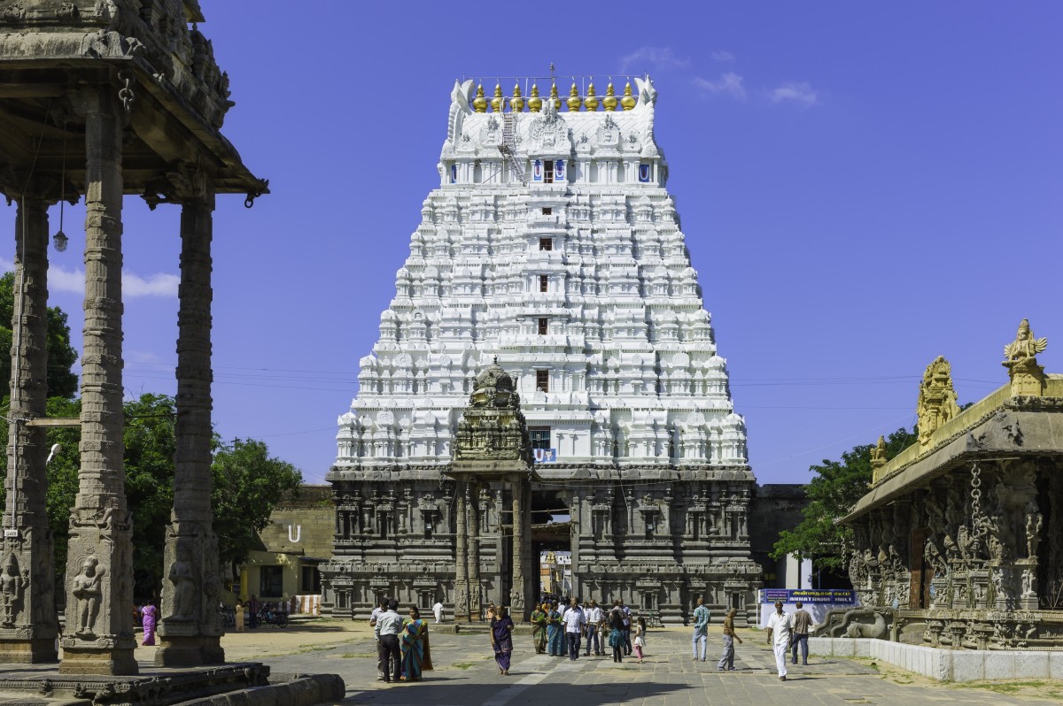 naidunia_image